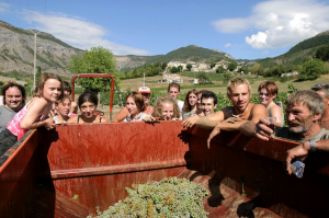 biovallée agriculture bio