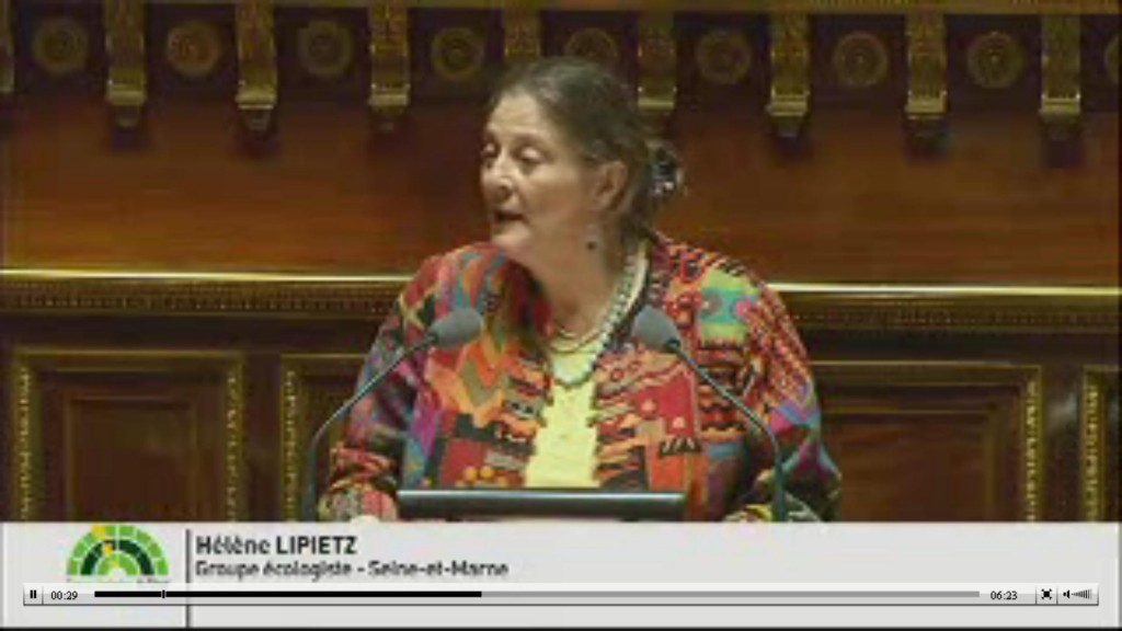 Hélène Lipietz, groupe écologiste du Sénat, explique pourquoi son groupe est "insatisfait" du travail mené par la commission d'enquête.