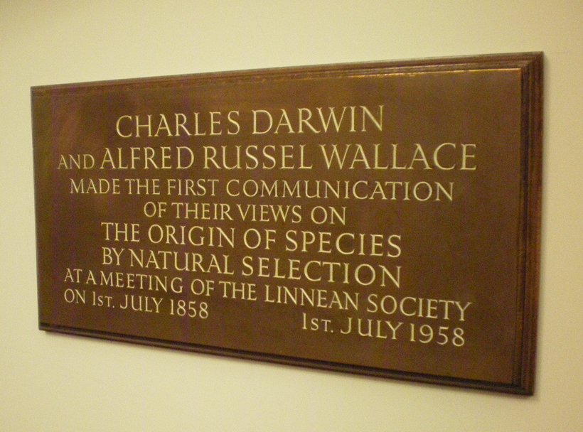 Plaque de la Société linnéenne de Londres en l'honneur de l’œuvre de Darwin et de Wallace.
