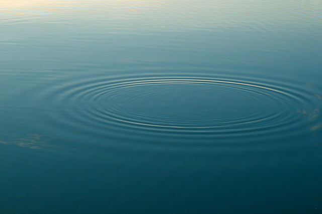 L'eau peut-elle enregistrer des ondes électromagnétiques et en garder la mémoire ?